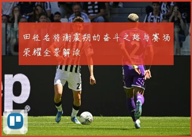 田径名将谢震朔的奋斗之路与赛场荣耀全景解读