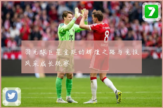 羽毛球巨星金廷的辉煌之路与竞技风采成长观察