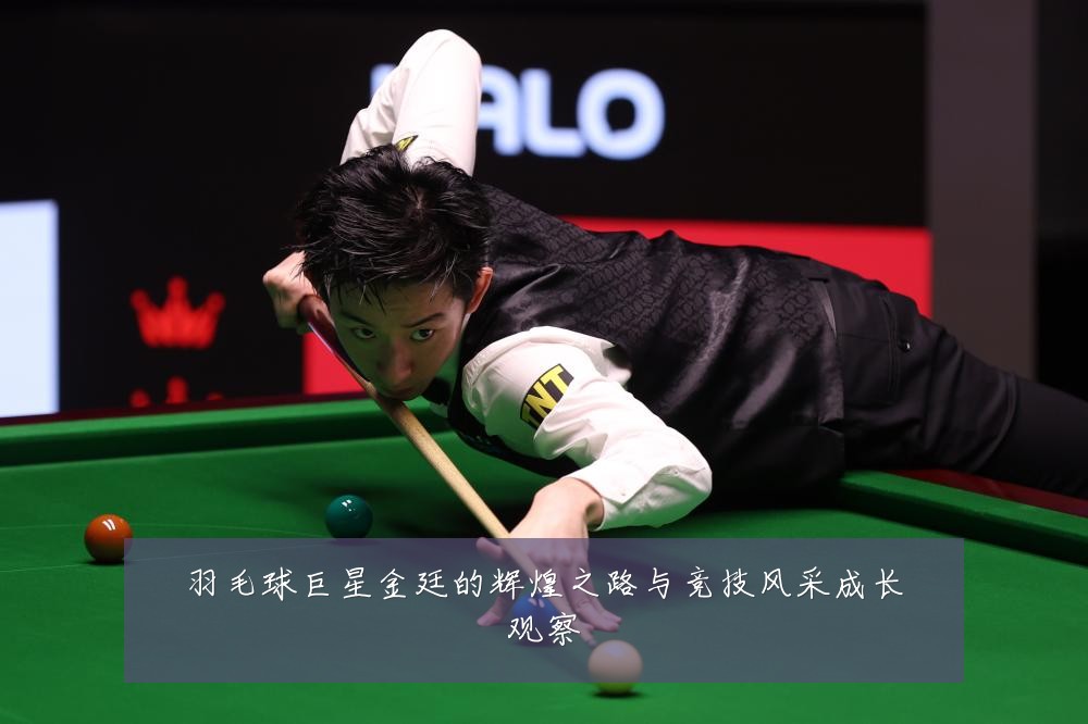 羽毛球巨星金廷的辉煌之路与竞技风采成长观察